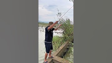 Đi Câu Được Cá Rô  Siêu To Ở Mương Ruộng #trainghiem