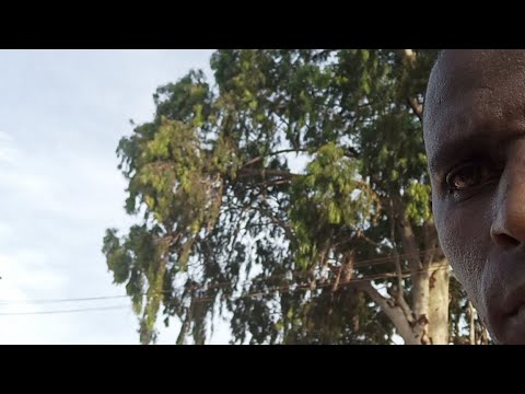 Video: Mtakatifu Paulo alikuwa mtu wa aina gani?