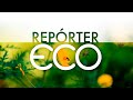 Repórter Eco | 17/04/2022