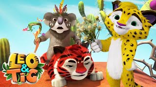 LEO and TIG 🦁 🐯 NEW 🌸 The Stone Flower 🌼 Cartoon For Children 💚 Moolt Kids Toons Happy Bear