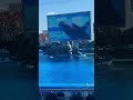 Japan’s Amazing Aquarium 🐬🇯🇵 | Port of Nagoya Public Aquarium 🐬🪼 | ජපානයේ අපූරු මුහුදු ලෝකය!