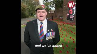 War veteran creates stunning field of poppies for Remembrance Day