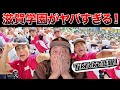 【甲子園優勝校予想発表!】TikTokで話題の滋賀学園の応援についてズバリ!