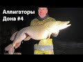 Аллигаторы Дона #4 весенняя подводная охота на щук 2021 март. spearfishing 2021 russia pike