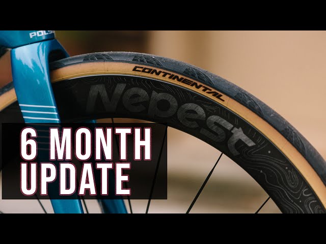 Nepest NOVA 55 Six Month Update - Clever Design Low Drag - YouTube