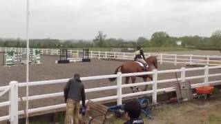 Colimbo Nimbus Ridden By Amy Tough