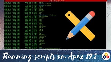 Running scripts on Oracle Apex 19.2 / Ejecutando scripts on Oracle Apex 19.2