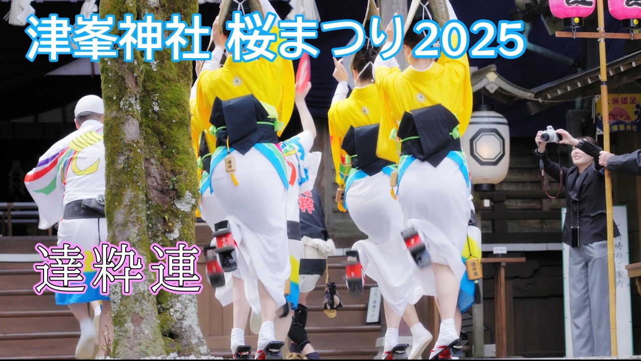 阿波踊り2025】津峯神社桜まつり 達粋連 - YouTube