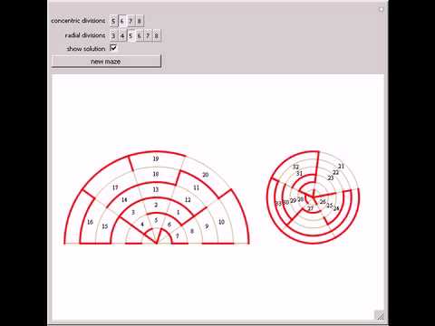 Mazes on a Cone, Including Its Base