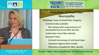 Small Fiber Neuropathies In Dysautonomia - Dr Amanda Peltier