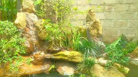 Tự làm non bộ tiểu cảnh sân vườn với giá 99k | Kiến Trúc Xanh Bình An