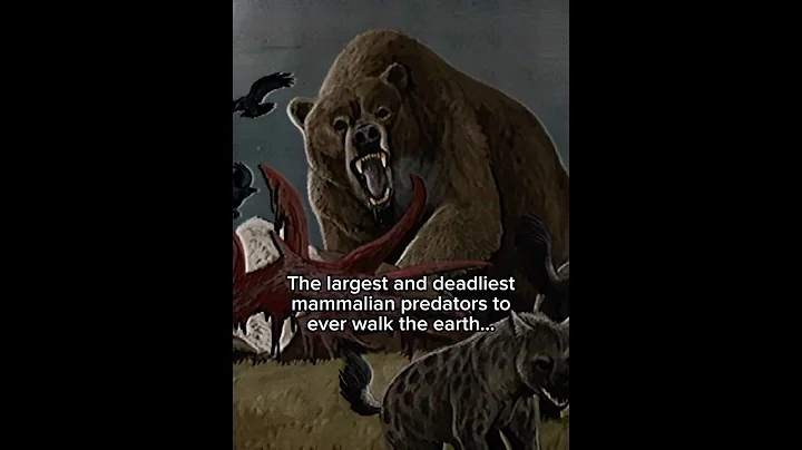The 4 largest predatory mammilians to ever live #prehistoric #mammals