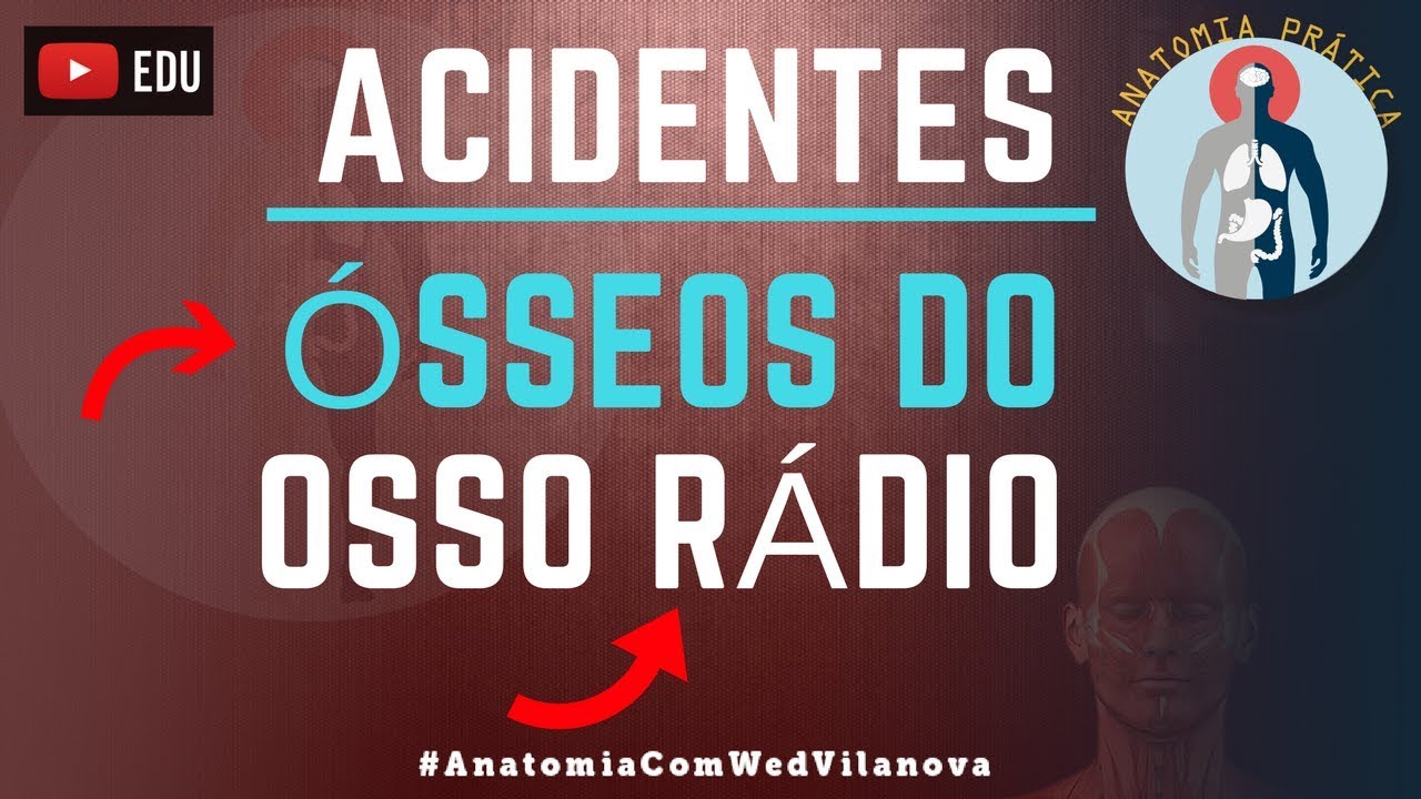 Osso Rádio ACIDENTES ÓSSEOS! Quais são❗❓DESCUBRA AQUI❗ [Anatomia Prática]