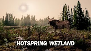 Exploring the Northern Rocky Mountains and Beyond!