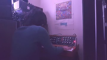 Minimoog Reissue 2016