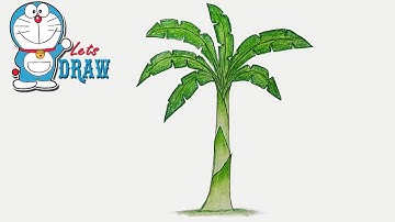 How to draw banana tree step by step (very easy)