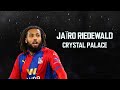 Jaro riedewald new skills for crystal palace