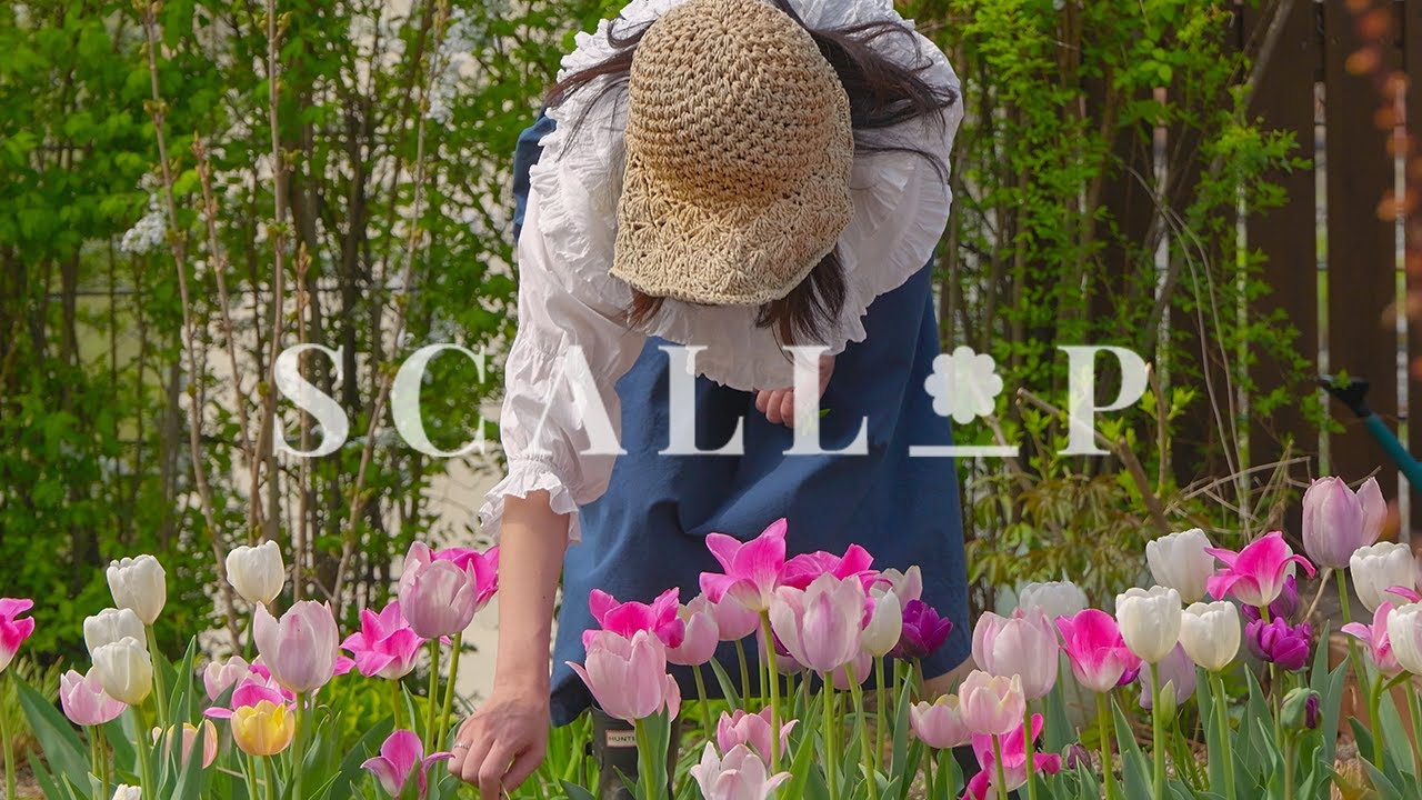 Ты чувствуешь рай? 🌸 Таволга, тюльпаны и новые розы