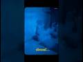 Octopus | BTS | Movie Gene | ShortFilm |