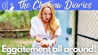 Back at the Chateau: We've Finally Got the Planning Permission + Chicken Update! 🏰