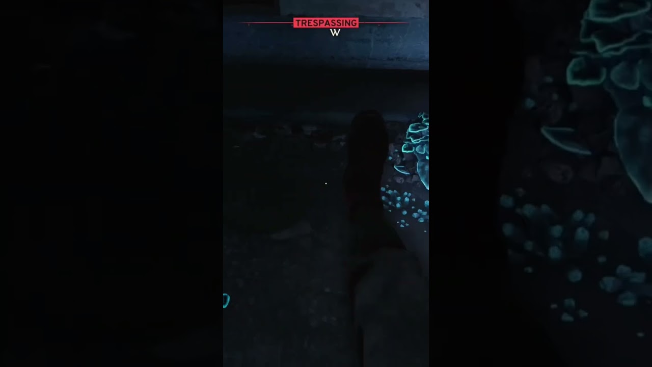 Making rats eat leather