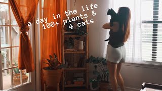 a day in the life — 100+ houseplants & 4 cats