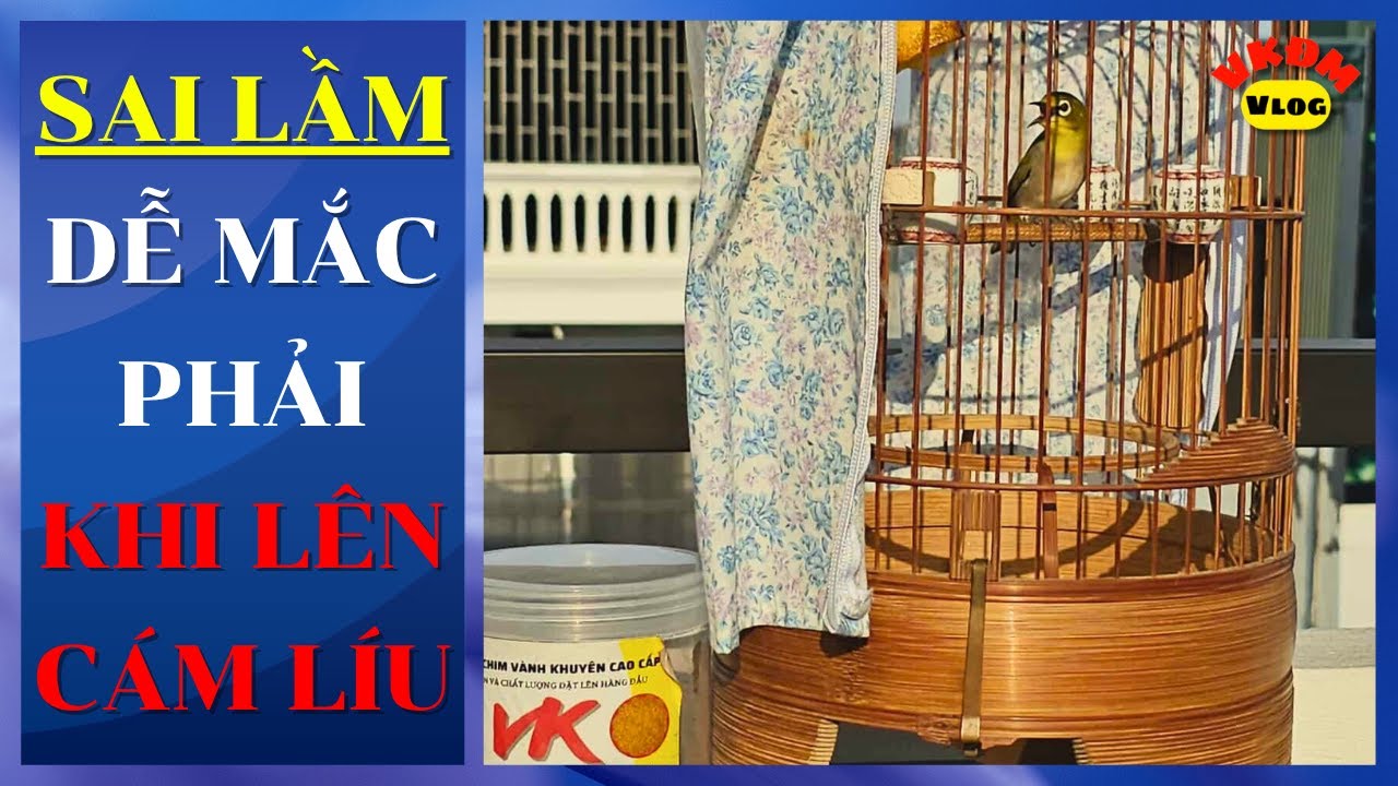 Распространенные ошибки при сборе средств | VKDM