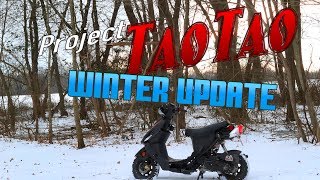 Project Taotao Winter Update Snow Scootin