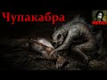 То, от чего стынет кровь - Чупакабра