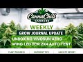 UPDATE ON 2X4 AUTO TENT UNBOXING VIVOSUN AERO WING 200W LED