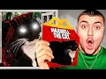 Ne jamais commander le happy meal maxwell the cat a 3h00 du matin  le chat mattaque horreur 