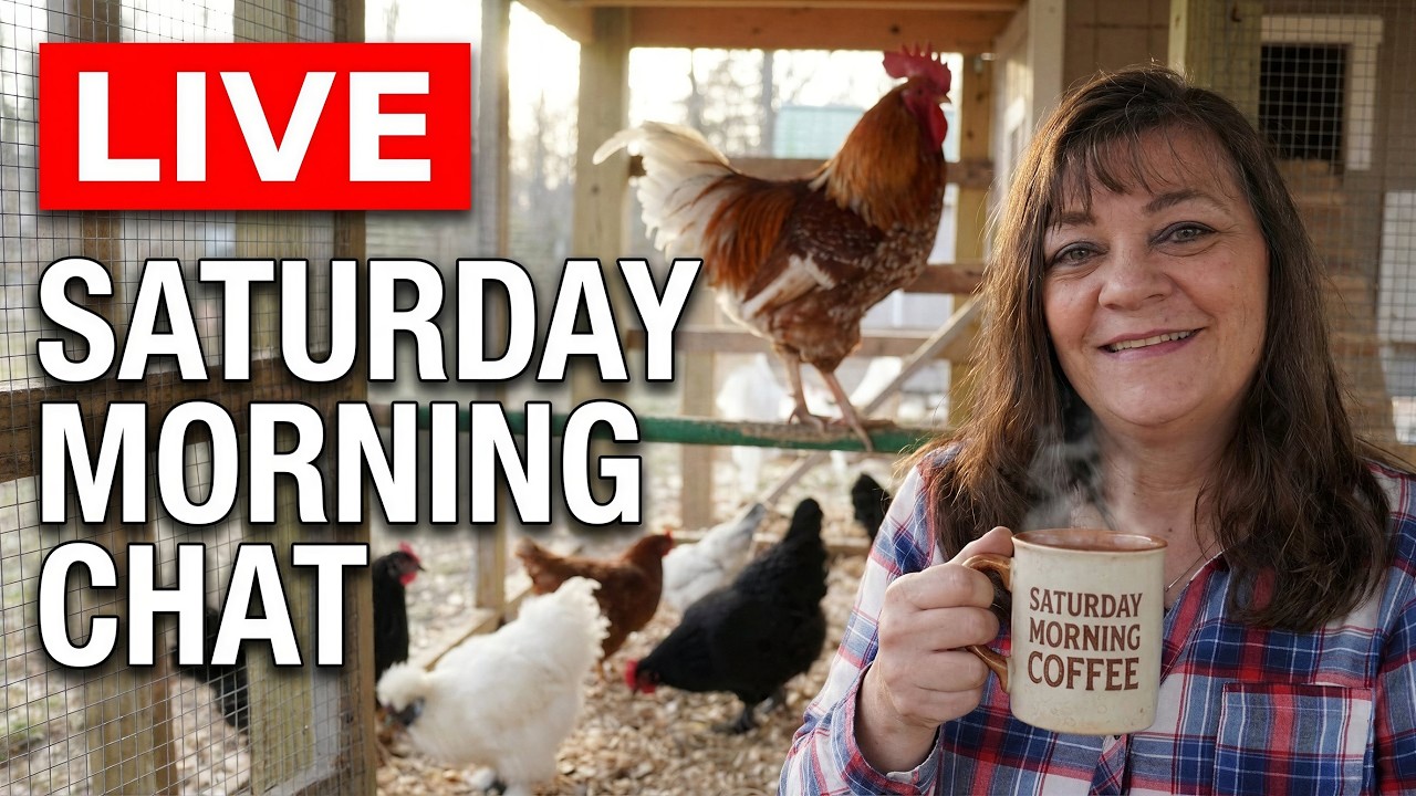 Chicken Chat Live Saturday Morning (Live Q&A)