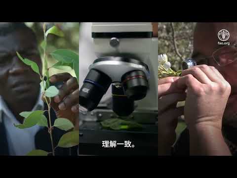 《植物检疫术语表》（ISPM 5 ）