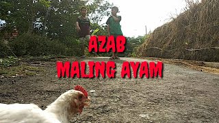 AZAB SUKA MALING AYAM..AZAB INDOSIAR PARODY || story wa baru