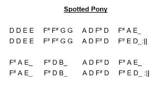 Spotted Pony - play-along (medium speed 100bpm)