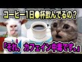 【カフェイン中毒】カフェイン取りすぎて死にかけた話 #猫ミーム