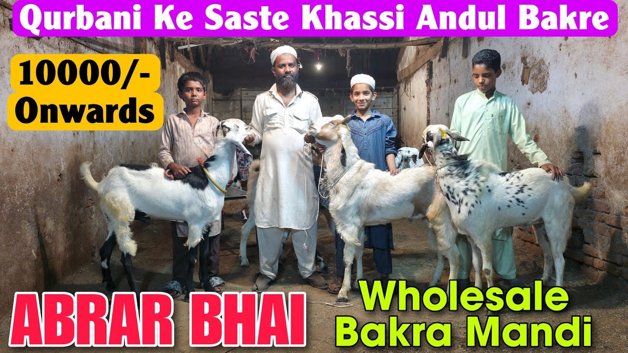 10000/- Onwards Qurbani Ke Saste Bakra Bakri At ABRAR BHAI | Wholesale Goat Market In Bhiwandi 