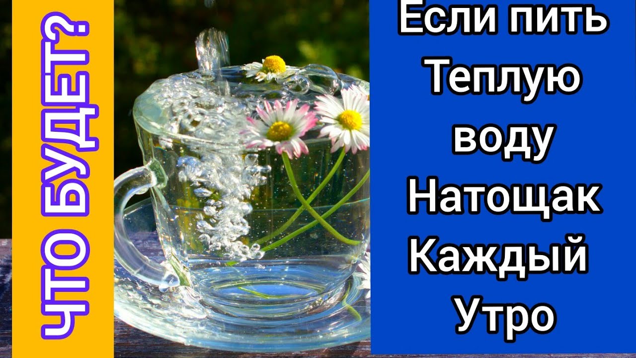 Месяц пила только воду. Какая вода полезнее теплая или холодная. Лучше пить холодную или тёплую воду. Пейте больше воды в жару для разжижения крови. Нарцисы любят тёплую воду.