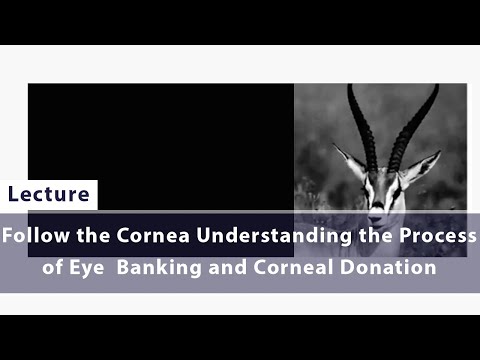 Follow the Cornea Understanding the Process of Eye  Banking and Corneal Donation