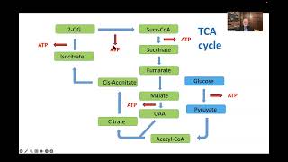 Is ME/CFS Curable? Ronald W. Davis