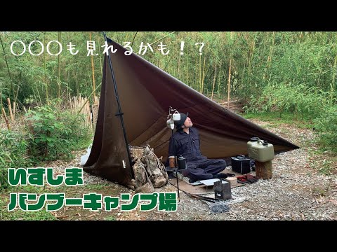 【ソロキャンプ】竹に囲まれたいんだ in いずしまバンブーキャンプ場 ~前編~ 【Japan】