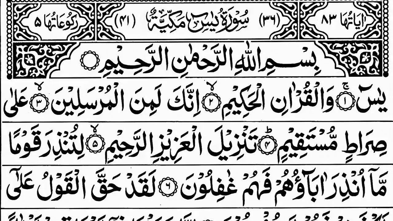 Surah Yasin (Yaseen) Full | سورۃ یس  ☘️ Surah Yasin Full | Best Quran |  Recitation | Episode 153
