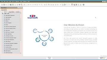 SAP Business One Ireland Tutorial B1 Introduction - Overview - Sales & Purchase Modules