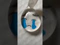 Satisfying Water drops 💦 #shorts #satisfying