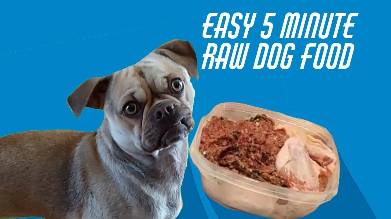 Super Easy Raw Dog Food! YouTube