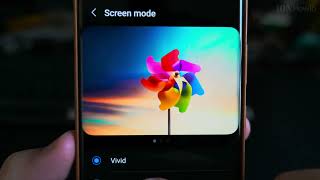 Samsung Galaxy S23 Ultra Display Settings