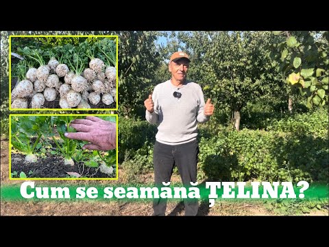 Video: Telina are seminte?