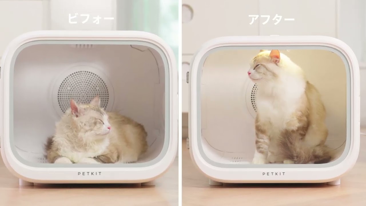 新商品】「ペットヘアドライヤーボックス」品番：HG-400 PET KIT