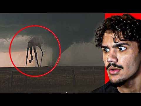TERRIFYING creatures caught at night!