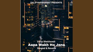 Video thumbnail of "Release - Aapa Wakh Ho Jana (Slowed & Reverb)"